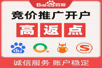 百度平台推广：成功案例解析与效果分析
